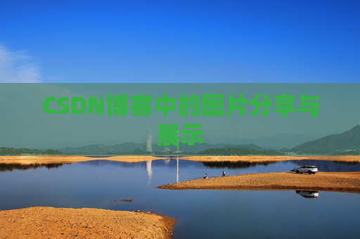 CSDN博客中的图片分享与展示